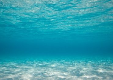 Pour fidéliser, le Club Med déploie une stratégie de considération