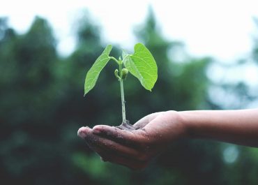 Tendances de voyages 2024 : L'écotourisme et le tourisme durable